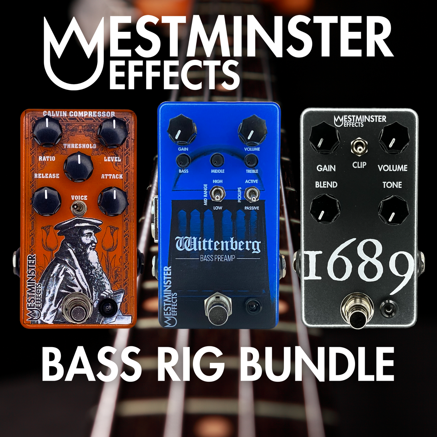 Bass Rig Bundle